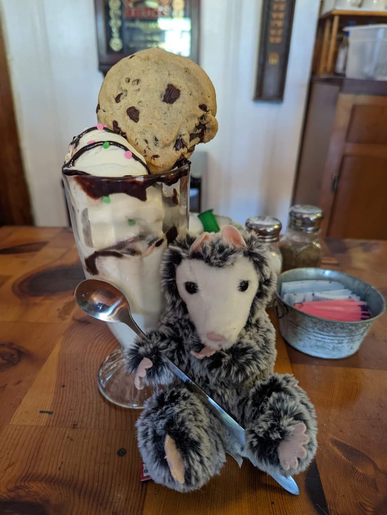 Richlands Ice Cream Goochland Restaurant