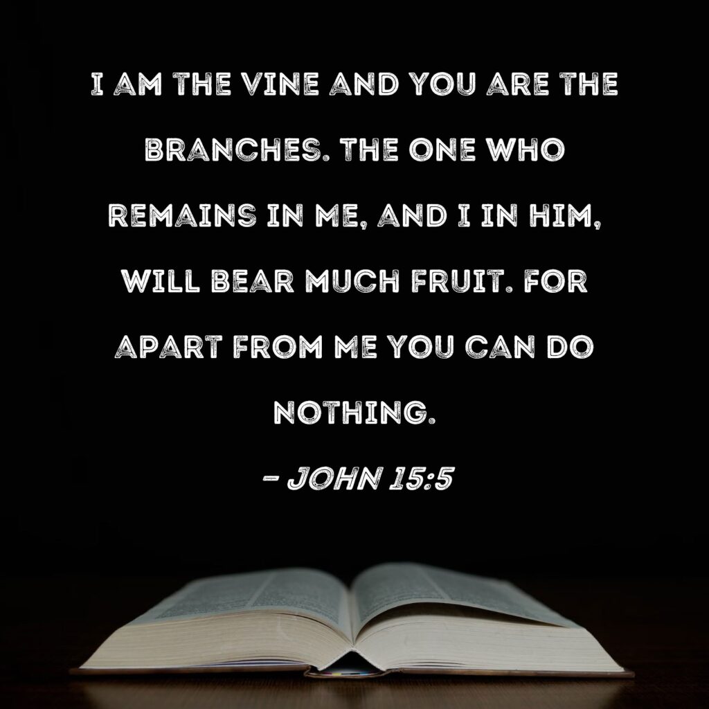 image of the verse john 15:5